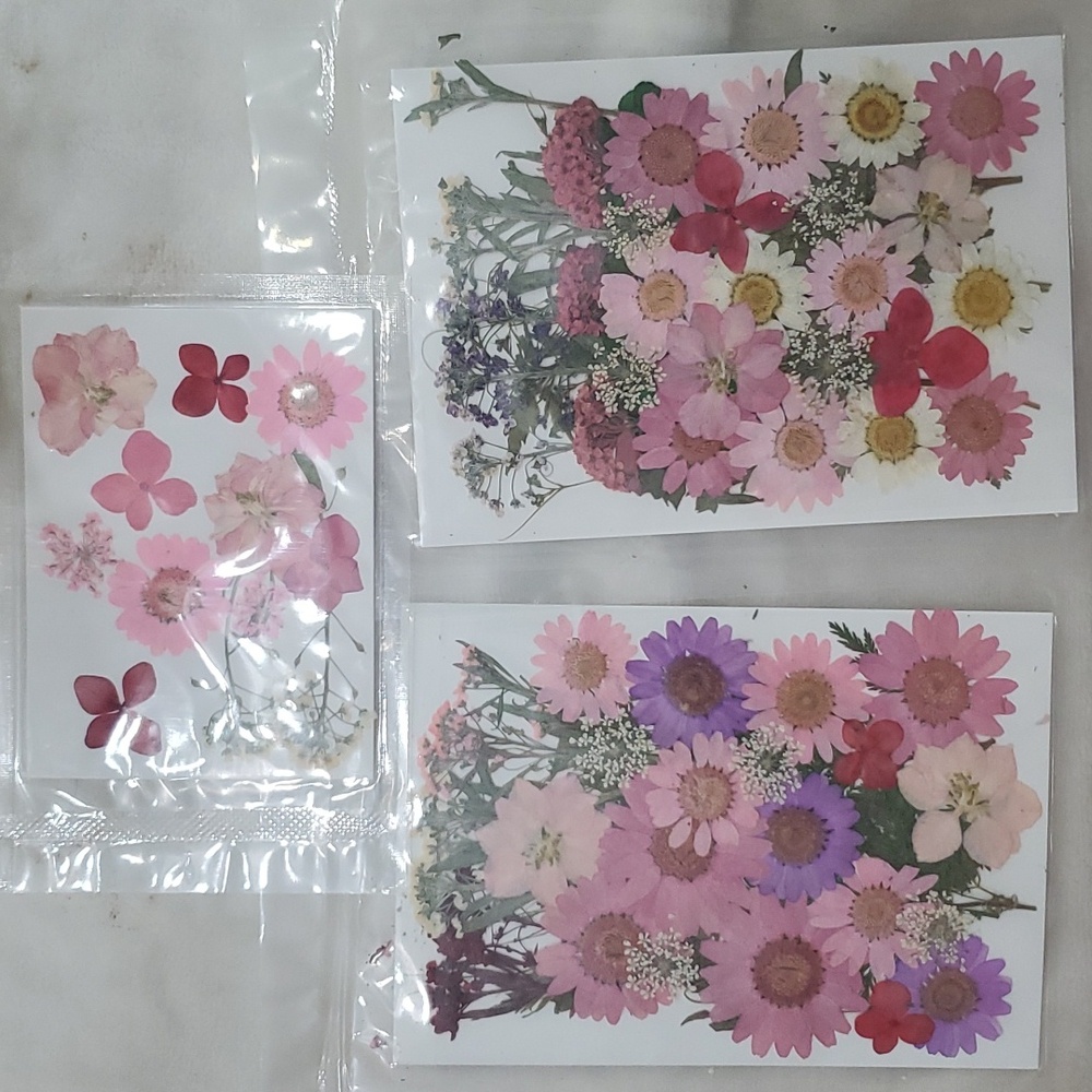 Dried pink flower